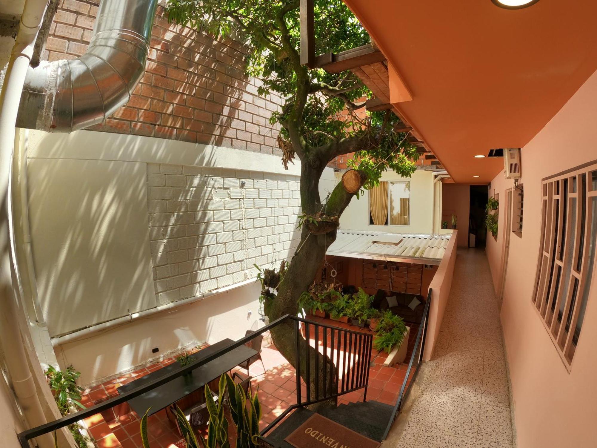 Casa Primavera Hostal メデジン エクステリア 写真