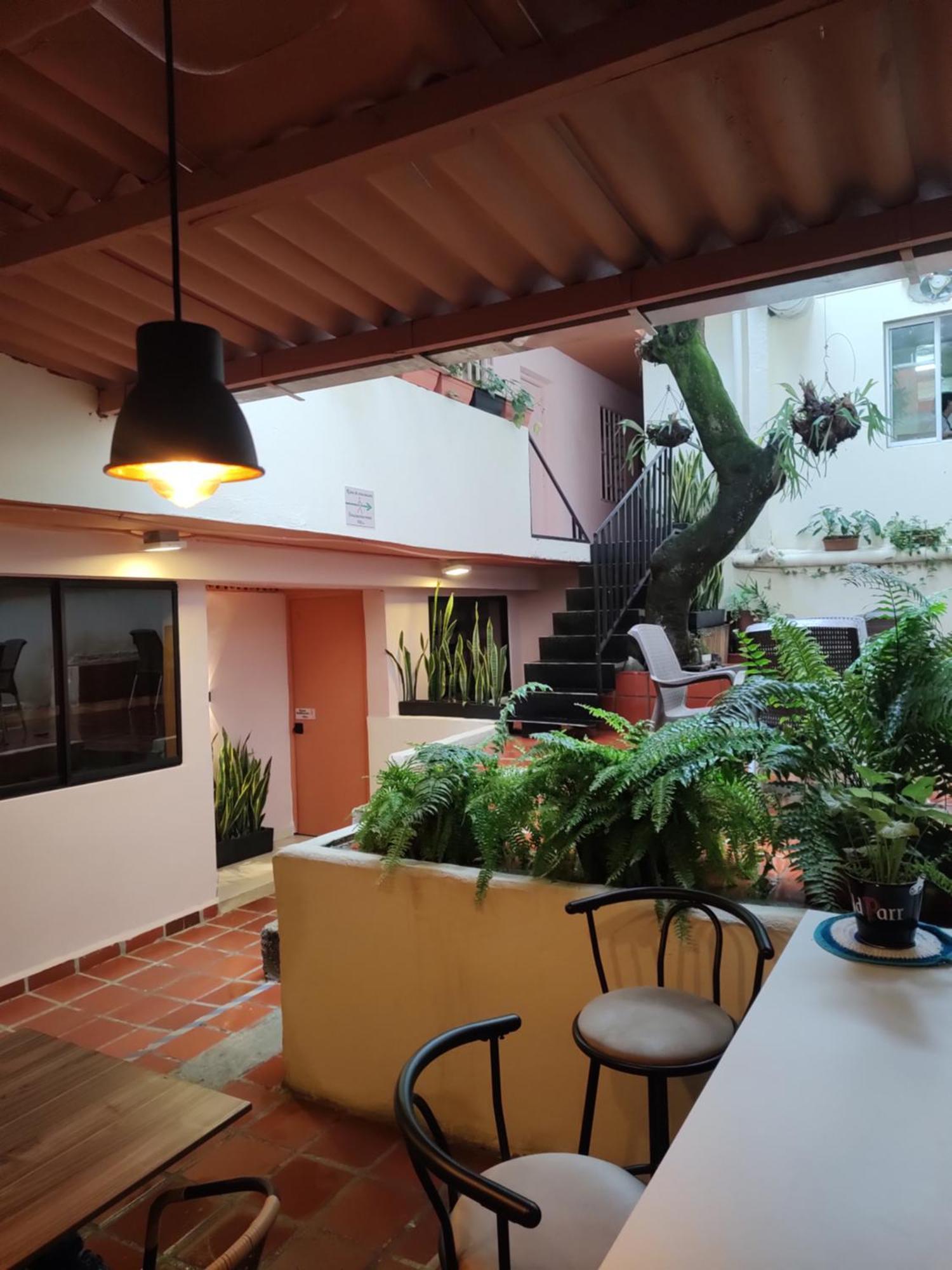 Casa Primavera Hostal メデジン エクステリア 写真