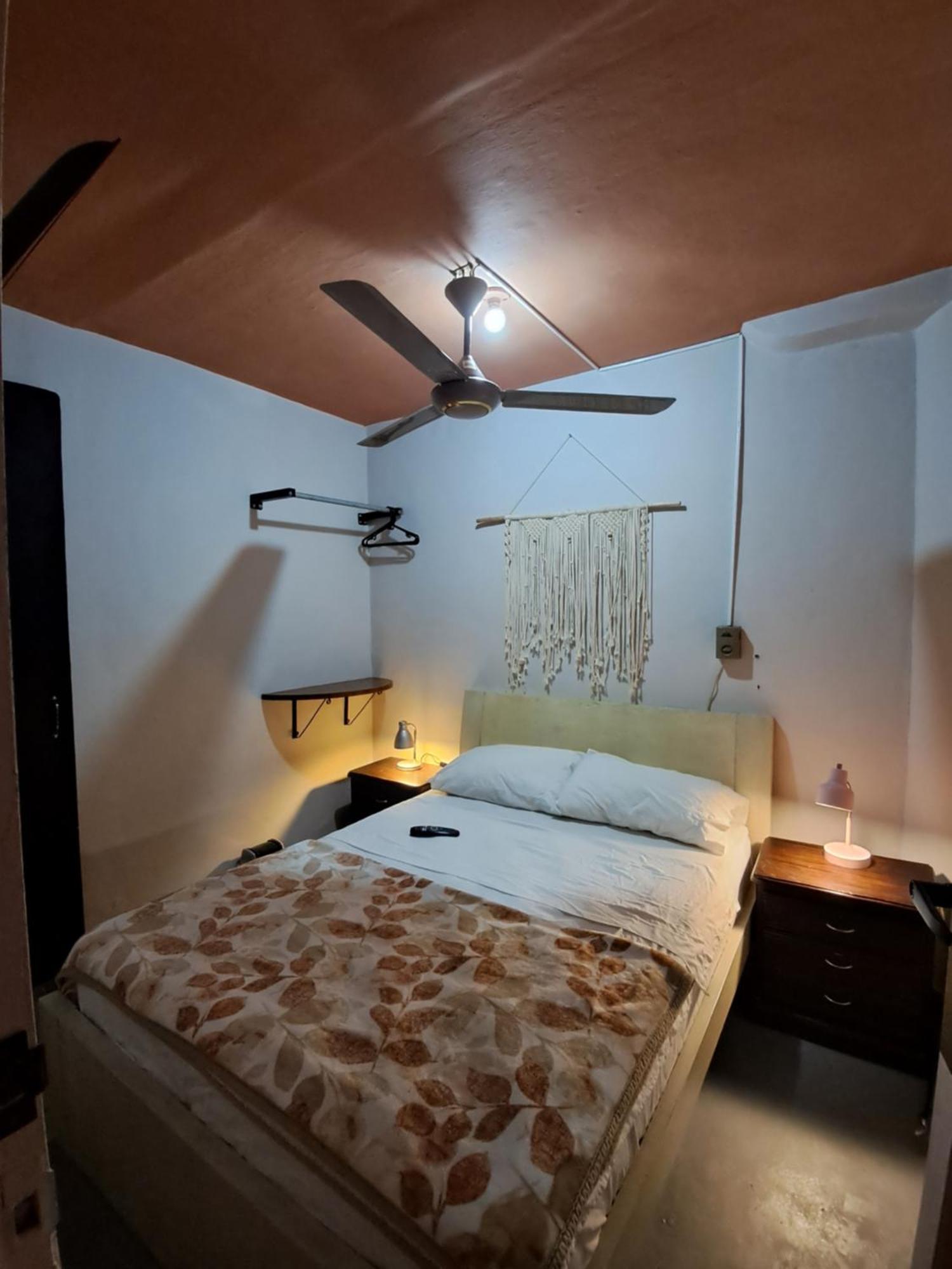 Casa Primavera Hostal メデジン エクステリア 写真
